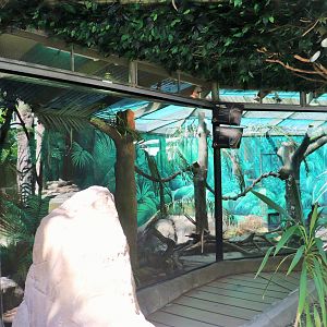 Scrub Python/Boyd's Forest Dragon Enclosure