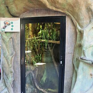 Frill-necked Lizard Enclosure