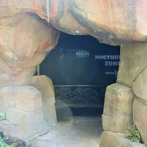 Nocturnal Zone Entry