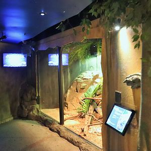 Boa Constrictor Enclosure