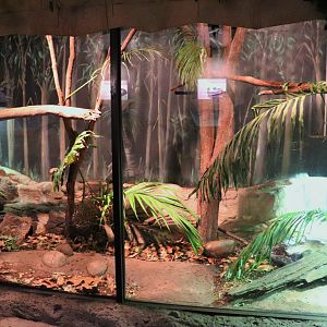 Carpet Python Enclosure