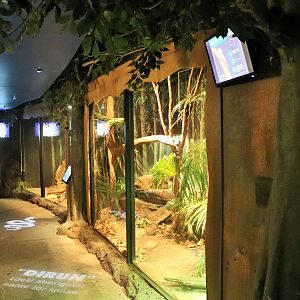 Reptile Enclosures