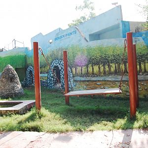 Asiatic black bear enclosure - Lahore zoo 17/11/2019