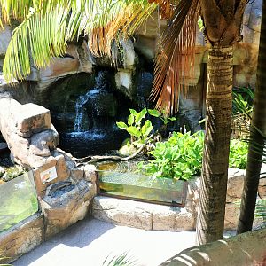 Merten's Water Monitor and Lungfish Enclosures