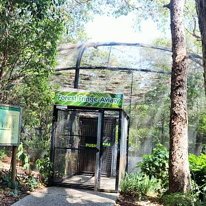 Forest Fringe Aviary