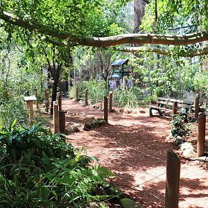 Forest Fringe Aviary