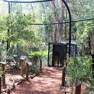 Forest Fringe Aviary