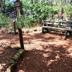 Bench in Forest Fringe Aviary
