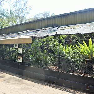 Conservation Aviaries