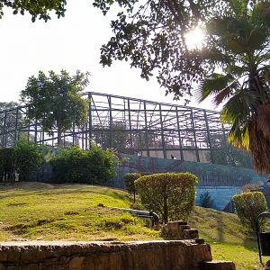 Leopard enclosure - Lahore zoo 17/11/2019