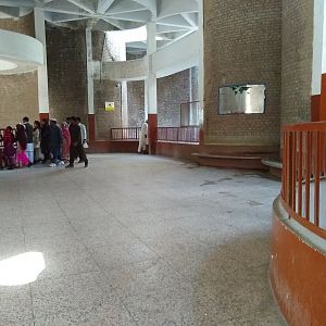 Pachyderm house - Lahore zoo 17/11/2019