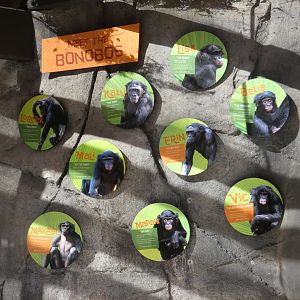 Bonobo ID signage