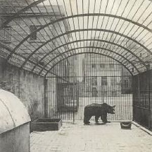 Lilford Park Northants