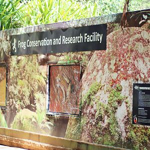 Frog Conservation and Research Facility