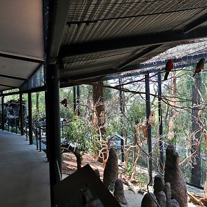 Land of the Parrots Aviary