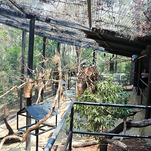 Land of the Parrots Aviary