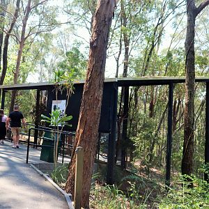 Glossy Black Cockatoo Aviary