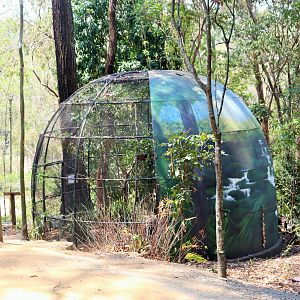 Tawny Frogmouth/Bush Stone Curlew Aviary