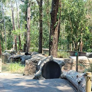 Wombat Enclosure