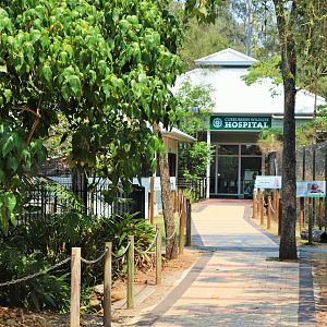 Pathway to Currumbin Wildlife Hospital