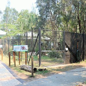 Black-necked Stork Enclosure