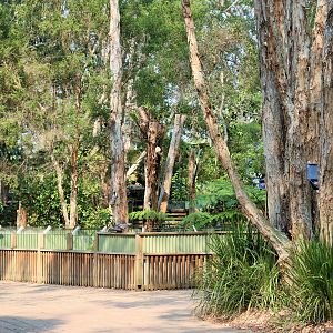 Tasmanian Devil Enclosure