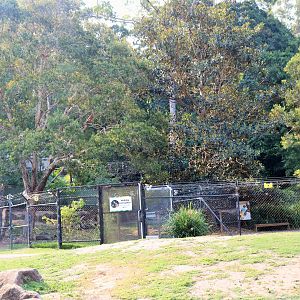 Wallaby Walk-through Enclosure