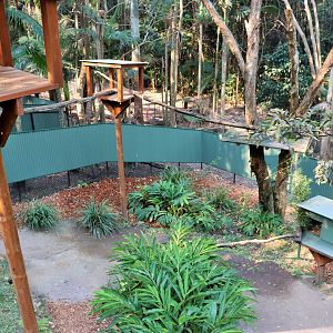 Another Red Panda Enclosure