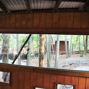 Capybara Viewing Window