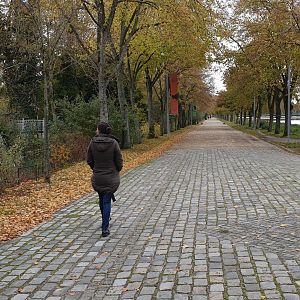 Pathway towards the Zoo