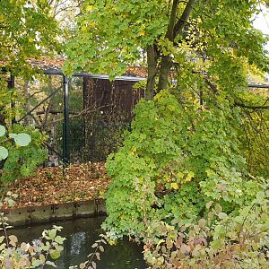 Owl-aviary seen from outside the Zoo