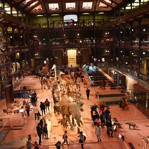 Experimenting with slow shutter speed...