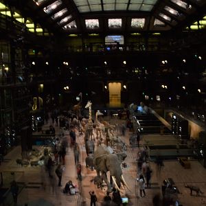 Experimenting with shutter speed