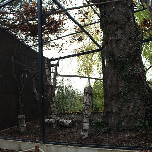 Empty ( owl ? ) aviary