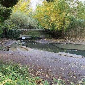 Bridge over Waterfowl-pond
