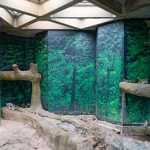 Sobell Pavilion Primate Indoor Enclosures - 15/11/2019