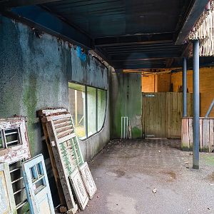 Land of the Lions - 15/11/2019