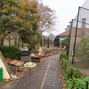 Former Blackburn Pavilion Pathway - 15/11/2019