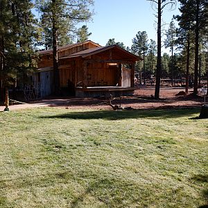 animal presentation area