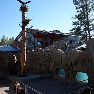 underwater otter viewing