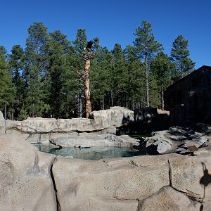 american river otter exhibit