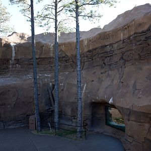 jaguar exhibit exterior