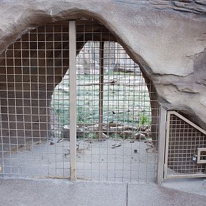 jaguar double fencing