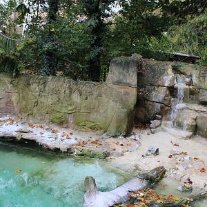 First part Humboldt penguin-enclosure