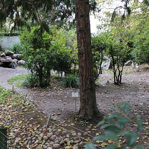 Second part Humboldt penguin-enclosure