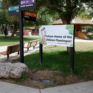 future flamingo area (front plaza)