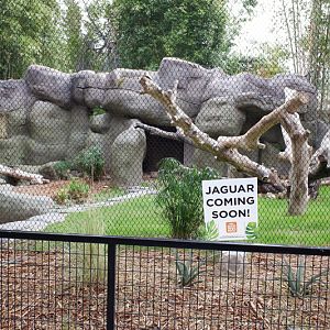 renovated jaguar exhibit (empty)