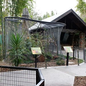 squirrel monkey exhibit