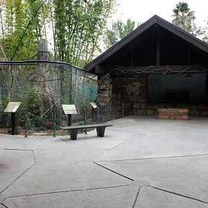 squirrel monkey exhibit