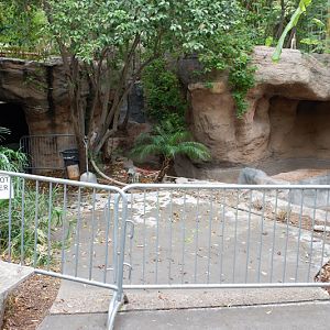 future black neck swan exhibit